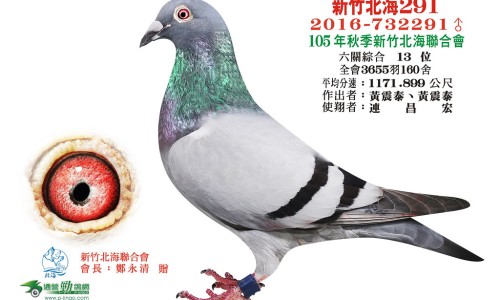磺苄西林钠的作用与功效专区_磺苄西林钠是什么药专区_磺苄西林钠1g说明书网